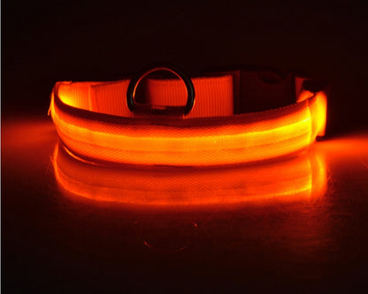 Nylon LED Pet Dog Luminous Collar Night Safety Flashing Glow in Dark Dog Cat Leash Adjustable