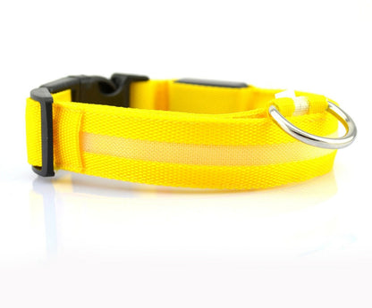 Nylon LED Pet Dog Luminous Collar Night Safety Flashing Glow in Dark Dog Cat Leash Adjustable