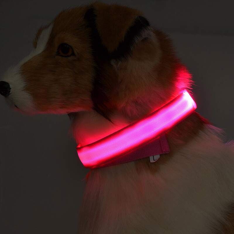Nylon LED Pet Dog Luminous Collar Night Safety Flashing Glow in Dark Dog Cat Leash Adjustable