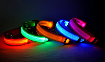 Nylon LED Pet Dog Luminous Collar Night Safety Flashing Glow in Dark Dog Cat Leash Adjustable