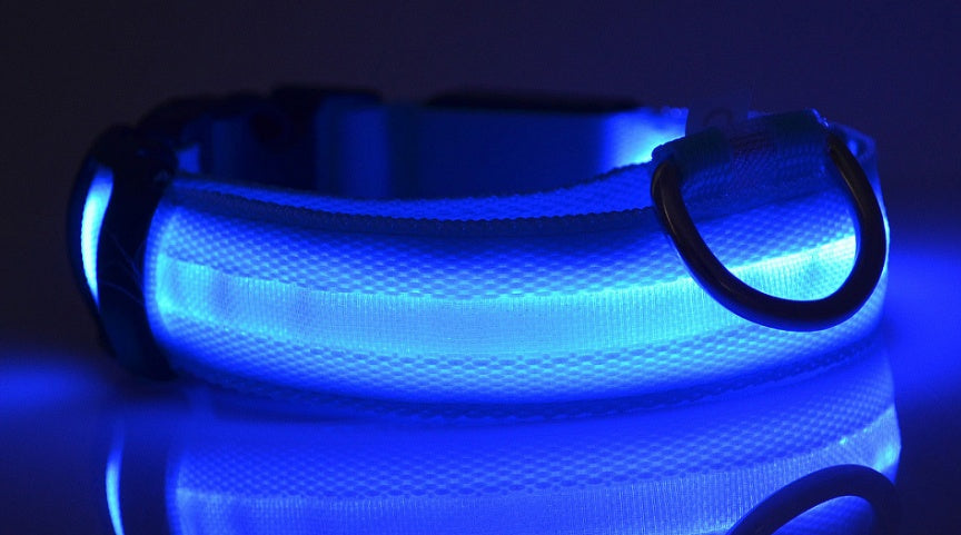 Nylon LED Pet Dog Luminous Collar Night Safety Flashing Glow in Dark Dog Cat Leash Adjustable