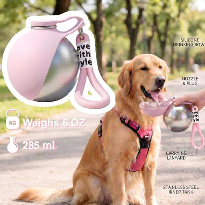 1 in 4 dogs treated for heatstroke dies , is yours protected?