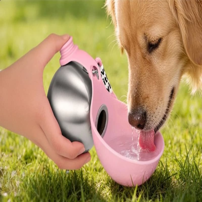 1 in 4 dogs treated for heatstroke dies , is yours protected?