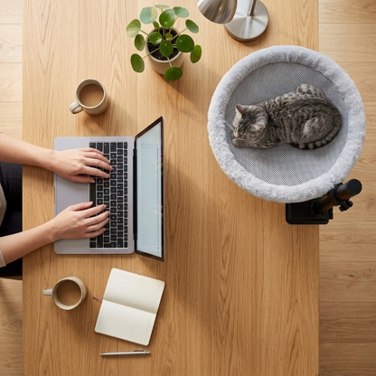 Stop sharing your desk, give them a better one